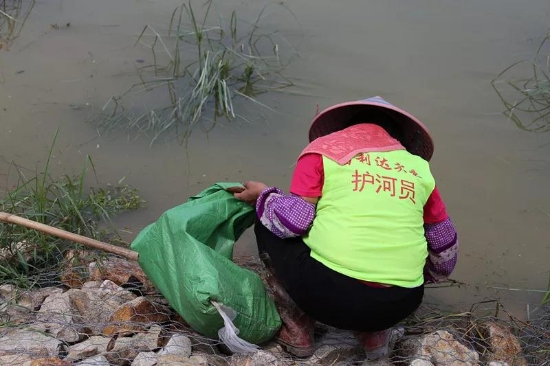 古劳水乡龙舟赛圆满落幕,万人空巷,回味无穷!