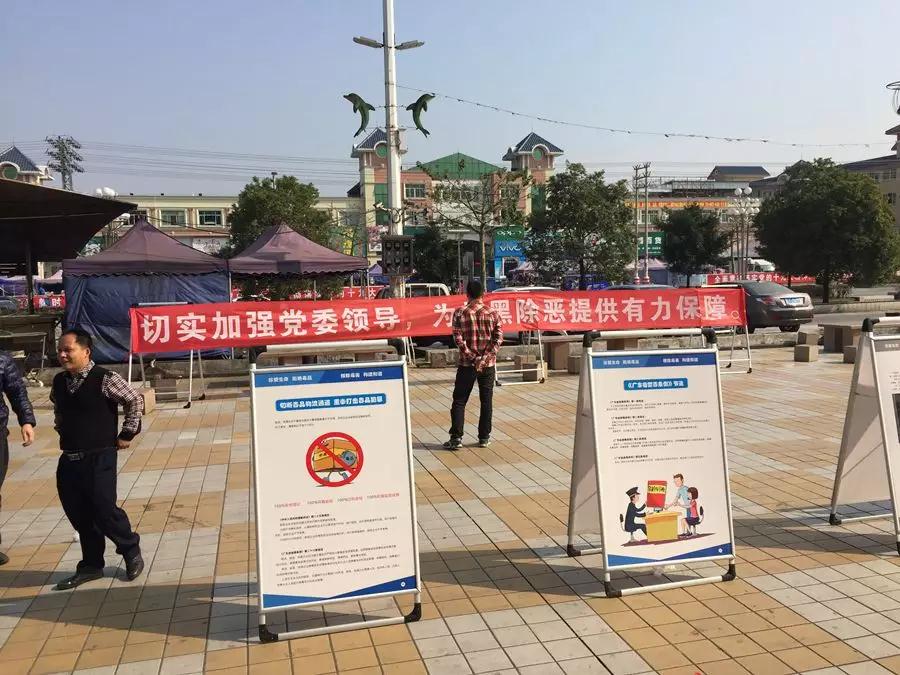 逢恶必除,除恶必尽,切实提高群众安全感,鹤城镇