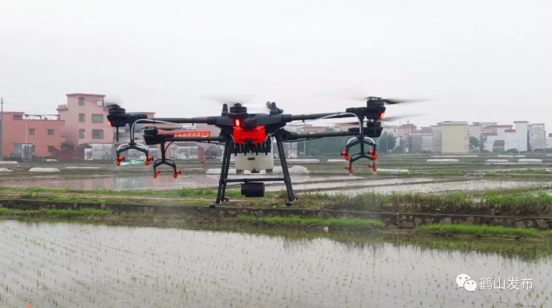 2019年龙岗区经济_2019年1月18日龙岗社区召开集体股份经济合作社分红大会-龙岗社区召...