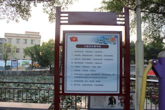 桃源镇经济总量_世外桃源图片