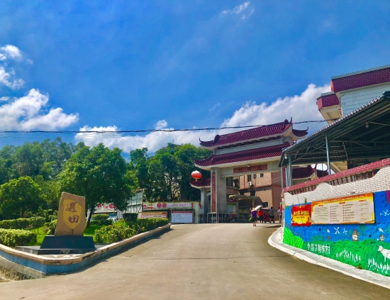 鹤山市宅梧镇第六次人口普查_鹤山市雅瑶镇新蕾学校