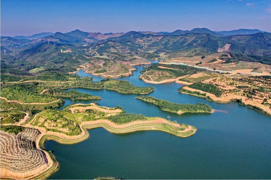 来鹤山探寻共富水密码