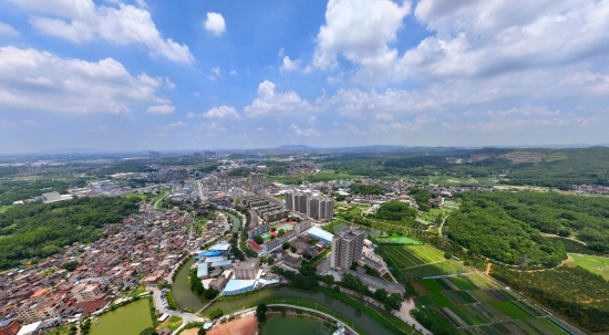 我为侨乡添新绿植出绿美新桃源桃源镇开展绿美广东生态建设义务植树