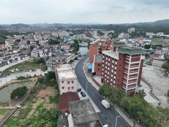 鹤山市桃源镇:农村路蝶变绽新颜 助力百千万工程跑出"加速度"