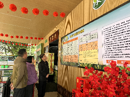 已编辑图片