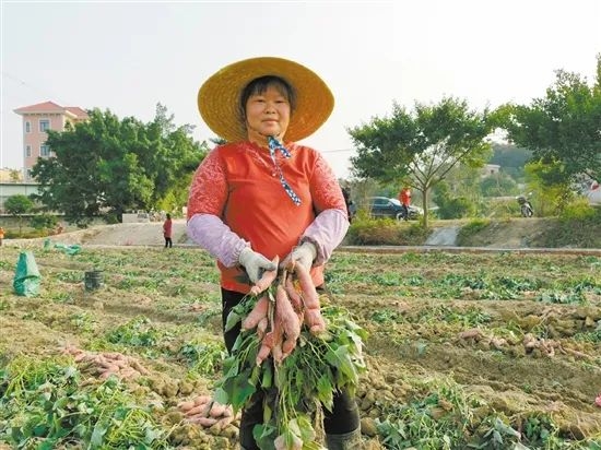 已处理165397978837804.jpg