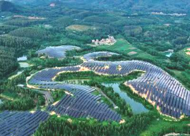 鹤山市农业农村局组织到双合镇光伏农光互补科普基地开展产业研学及消费助农活动379.png