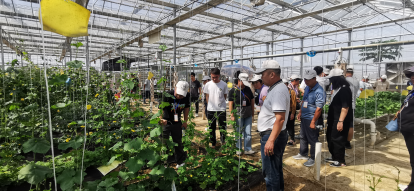 鹤山市举办高素质农民培训班  127名新农人“充电”赋能产业提升606.png