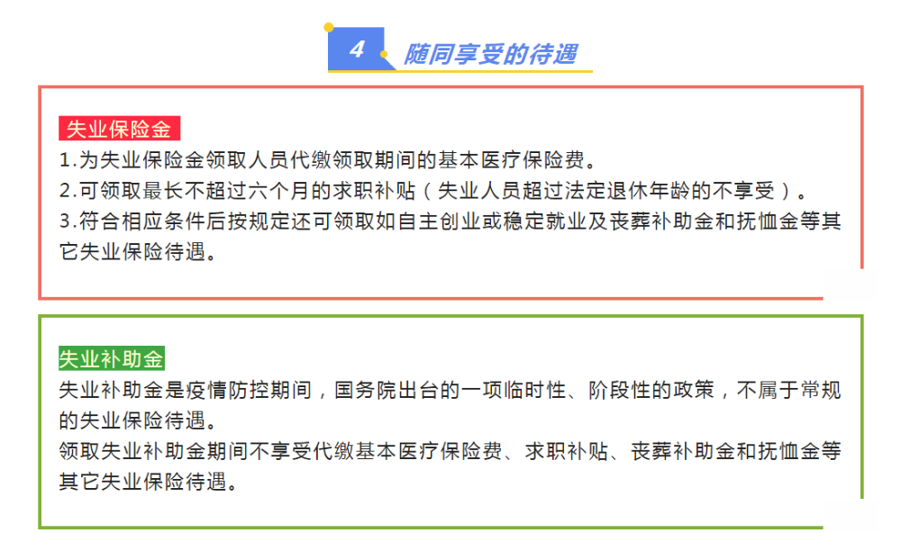 2688662 (3).png