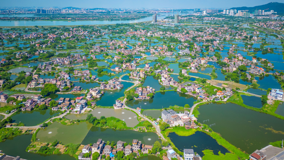 媒体频频聚焦江门市鹤山再次出圈