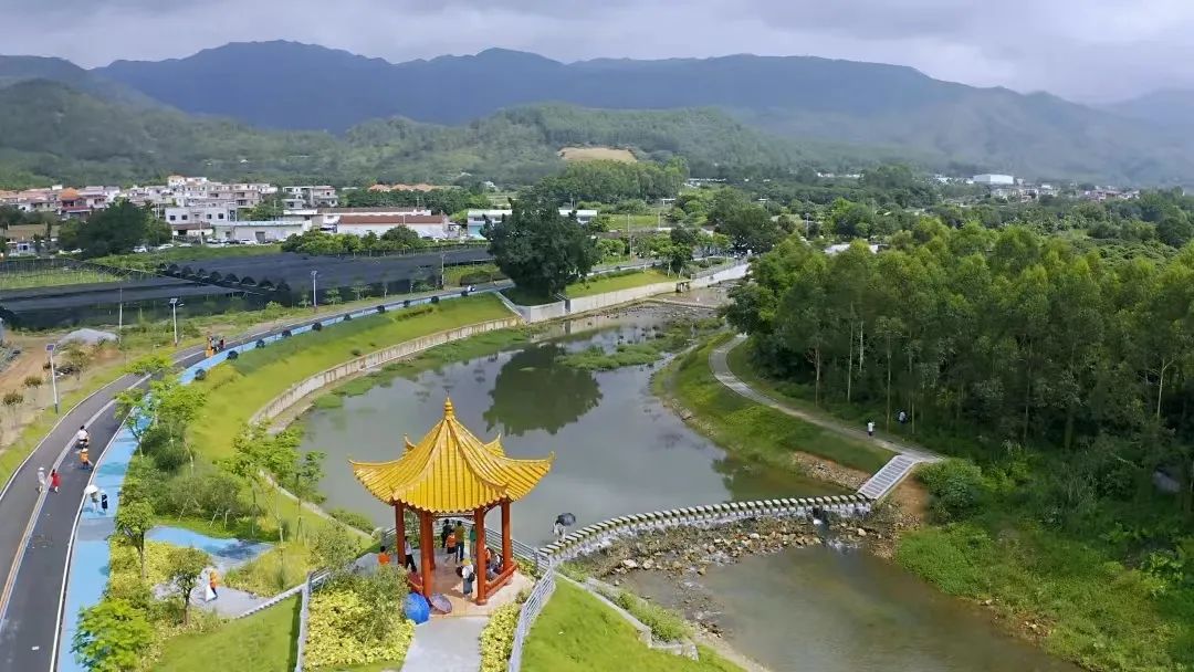 媒体频频聚焦江门市鹤山再次出圈