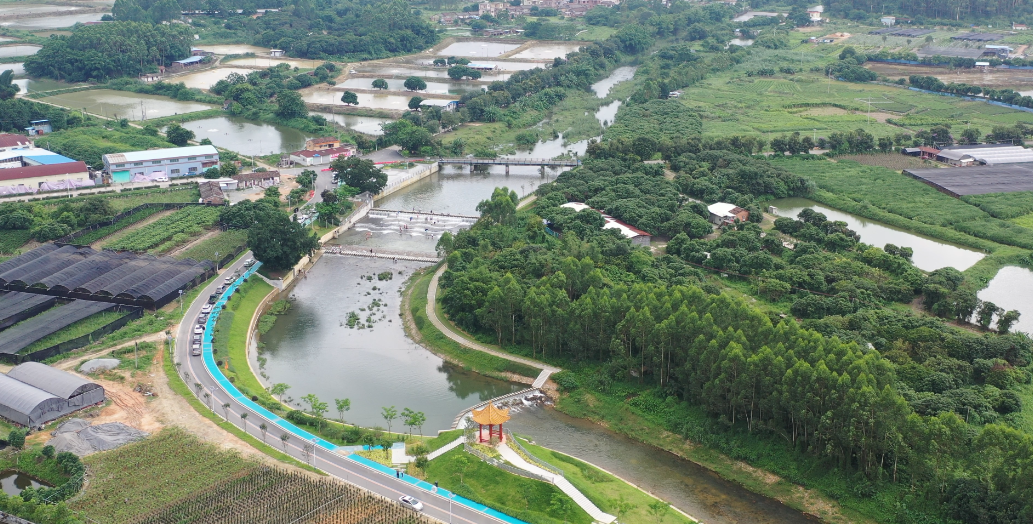 媒体频频聚焦江门市鹤山再次出圈