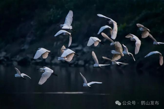 截图_选择区域_20250430090238.jpg
