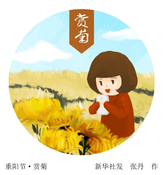 已处理1664698475322赏菊.jpg