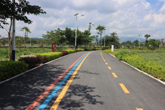 奋战百千万工程鹤山市桃源镇逐绿前行绘制绿美新桃源