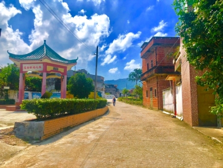 宅梧镇选田村党员干部群众同心协力让村子换新颜_鹤山市人民政府门户