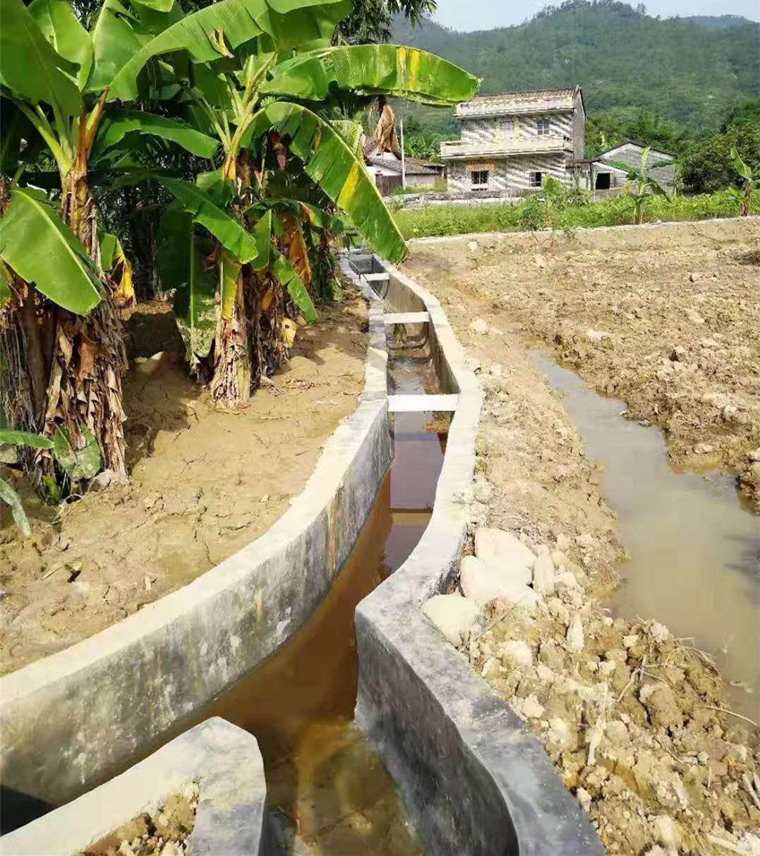 政务公开 信息公开平台 鹤山市鹤城镇 工作动态 工作动态五星村灌溉