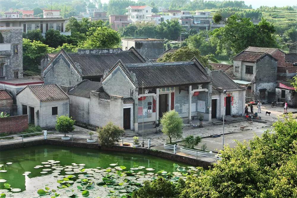 政务公开 信息公开平台 鹤山市龙口镇 工作动态 工作动态